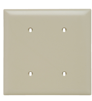 Pass & Seymour TP24-I 2Gang Wall Plate, Blank, Nylon, Standard - Ivory Product image for Pass & Seymour TP24-I 2Gang Wall Plate, Blank, Nylon, Standard - Ivory
