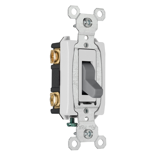 Product image for Pass & Seymour CSB20AC2-GRY Construction 2pole Switch, Back & Side Wire, 20A 120/277V - Gray