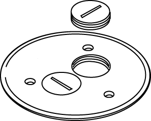 Product image for Wiremold 895SP 5-1/2" Brass Floor Box Cover Plate with Two Screw Plug Opening