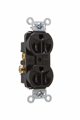 Product image for P&S TR5262BK RECEP DUP TR B+S WIRE