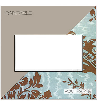 Product image for Pass & Seymour AWM2G-W4 2-Gang 2-Module Wall Plate - White