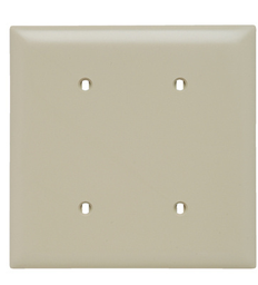 Pass & Seymour TP24-I 2Gang Wall Plate, Blank, Nylon, Standard - Ivory