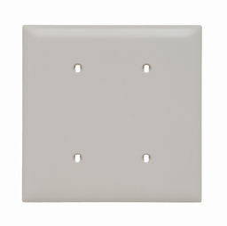 Pass & Seymour TP24-LA 2Gang Wall Plate, Blank, Nylon, Standard - Light Almond