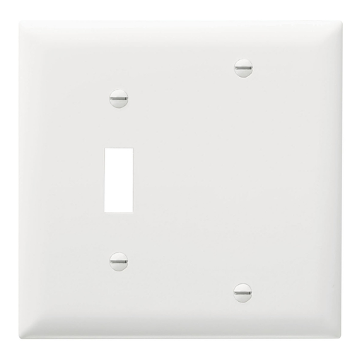 Mayer-DDS-Combination Openings, 1 Toggle Switch and 1 Blank, Two Gang, White-1