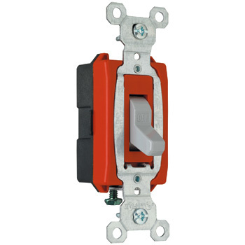 Mayer-DDS-Commercial Specification Grade Switch, Gray-1