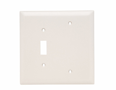 Mayer-DDS-Combination Openings, 1 Toggle Switch and 1 Blank, Two Gang, White-1