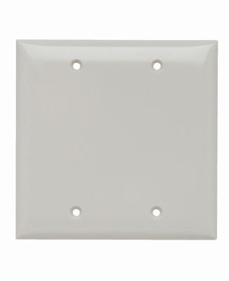 Mayer-DDS-2-Gang Thermoset Wall Plate, Blank, Box Mounted, Light Almond-1