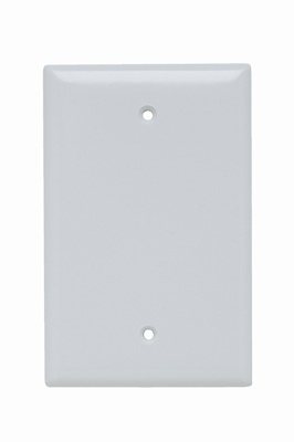 Mayer-DDS-Junior Jumbo 1-Gang Thermoset Wall Plate, Blank, Box Mounted, White-1
