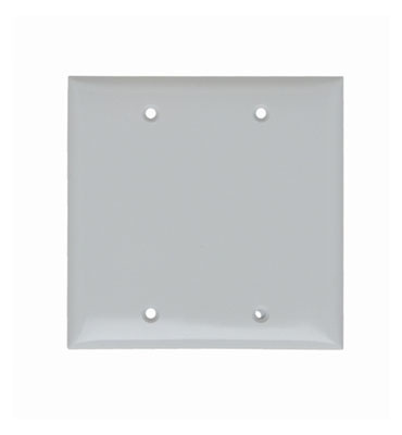 Mayer-DDS-2-Gang Thermoset Wall Plate, Blank, Box Mounted, White-1