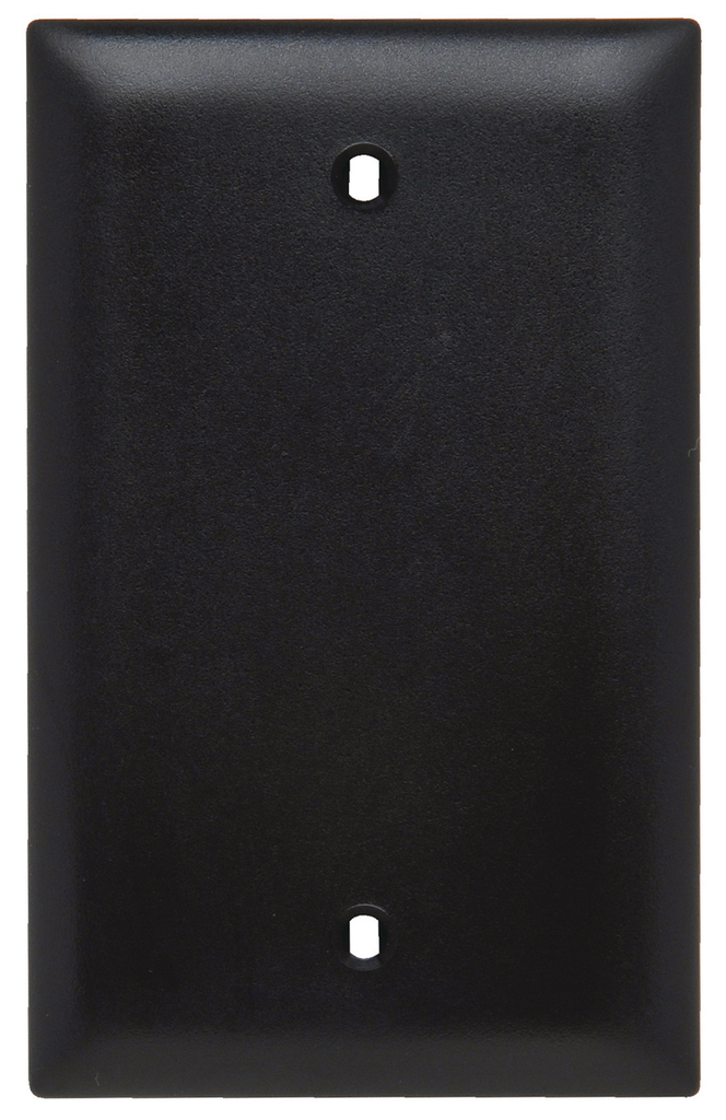 Mayer-DDS-TradeMaster® 1-Gang Nylon Wall Plate, Blank, Box Mounted, Black-1