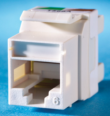 Mayer-DDS-TechChoice 6 Keystone jack, Cloud White-1