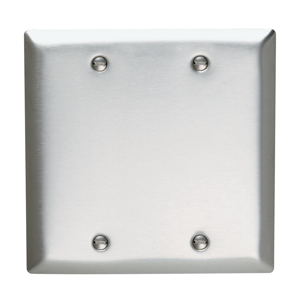 Mayer-DDS-2-Gang 302/304 Stainless Steel Wall Plate, Blank, Box Mounted-1