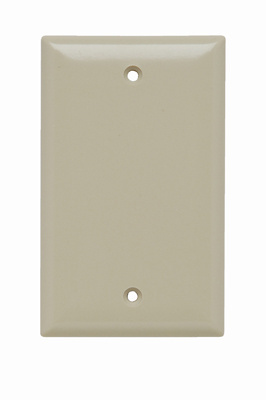 Mayer-DDS-1-Gang Thermoset Wall Plate, Blank, Box Mounted, Ivory-1