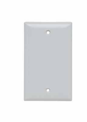 Mayer-DDS-1-Gang Thermoset Wall Plate, Blank, Box Mounted, White-1