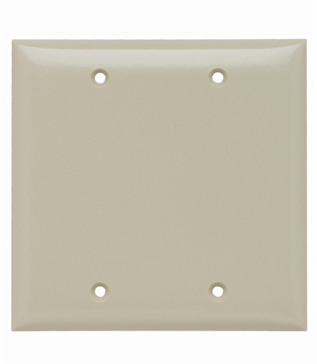 Mayer-DDS-2-Gang Thermoset Wall Plate, Blank, Box Mounted, Ivory-1