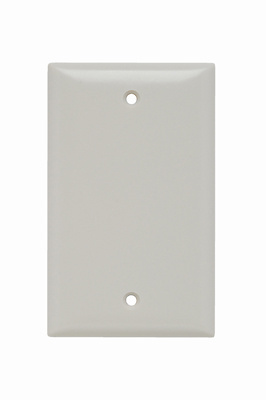Mayer-DDS-1-Gang Thermoset Wall Plate, Blank, Box Mounted, Light Almond-1