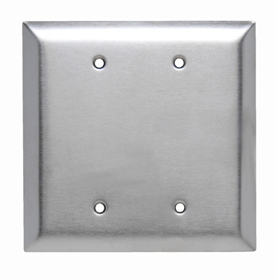 Mayer-DDS-Jumbo 2-Gang 302/304 Stainless Steel Wall Plate, Blank, Box Mounted-1