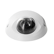 Indoor/ Outdoor Mini-Dome IP Camera.