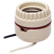 8101, 250 Volt