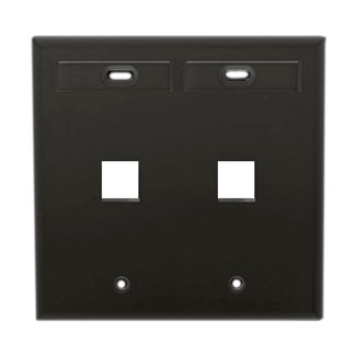 LEV 42080-2EP WP 2PORT DG ID BK LEV 42080-2EP WP 2PORT DG ID BK