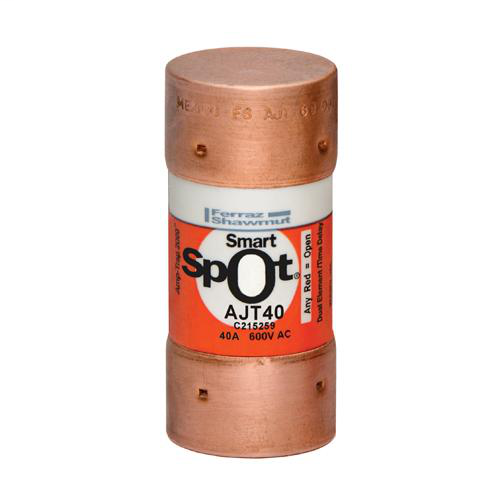 Ferraz Shawmut AJT40 40 Amp 600 Volt Class J Time Delay Fuse Ferraz Shawmut AJT40 40 Amp 600 Volt Class J Time Delay Fuse