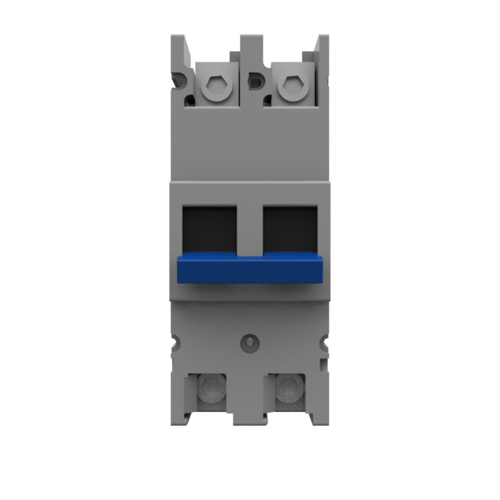 Current Interrupting Device - Non Metallic - 200A - Lug to Lug