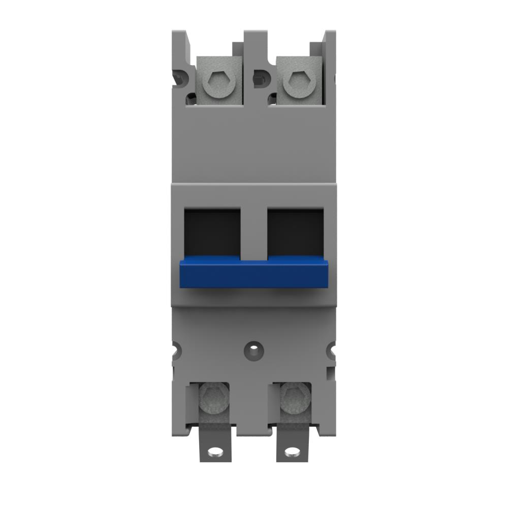 Current Interrupting Device - Non Metallic - 175A - Bus to Lug