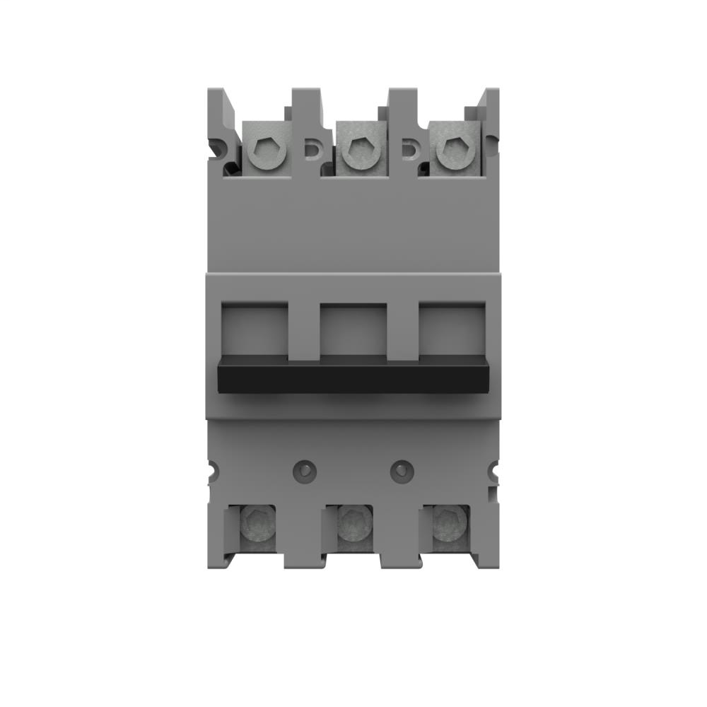 Current Interrupting Device - Non Metallic - 125A - Lug to Lug
