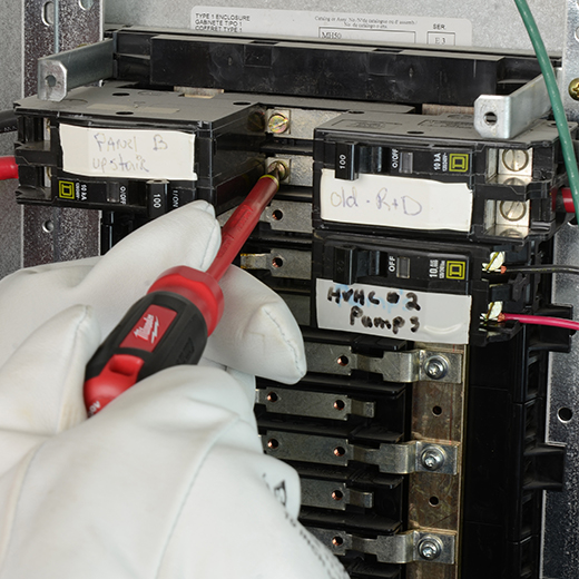 DDS_20442