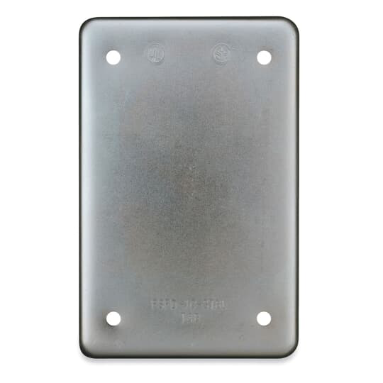 Product image for Thomas & Betts DSS100-TB 1-Gang FS/FD Blank Steel Cover