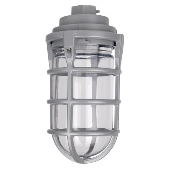 Product image for Red Dot VKG-11-C 1/2 Inch 100 W Pendant Mount Cap with Globe and Guard