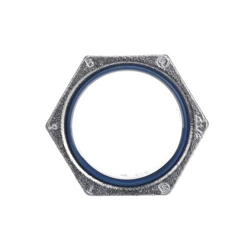 Product image for Thomas & Betts 1948 2-1/2" Chase Nipple, Malleable Iron, Nylon Insulated