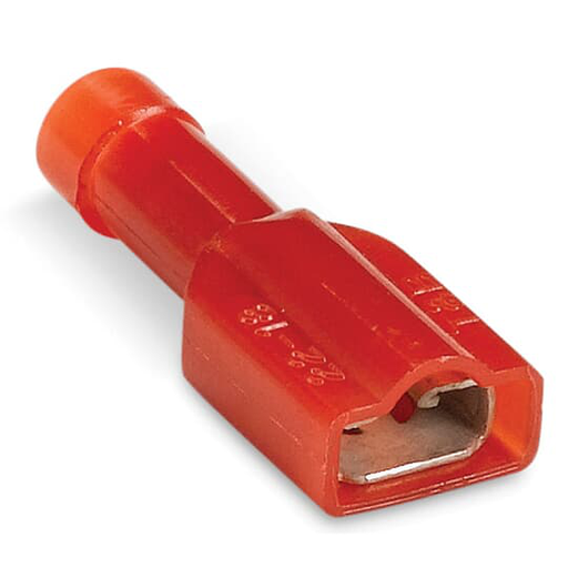 NYL FLLY INS FEM DSC 22-18 250 MYLA