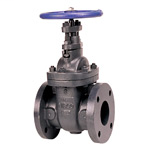 Gate Valve - Class 125, Cast Iron, Non-Rising Stem, Flanged, F-619
