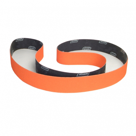 3 X 79 BLAZE BELT