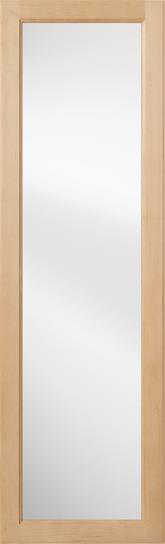 Mirror door for ICUDWH & ICUNUW ironing centers