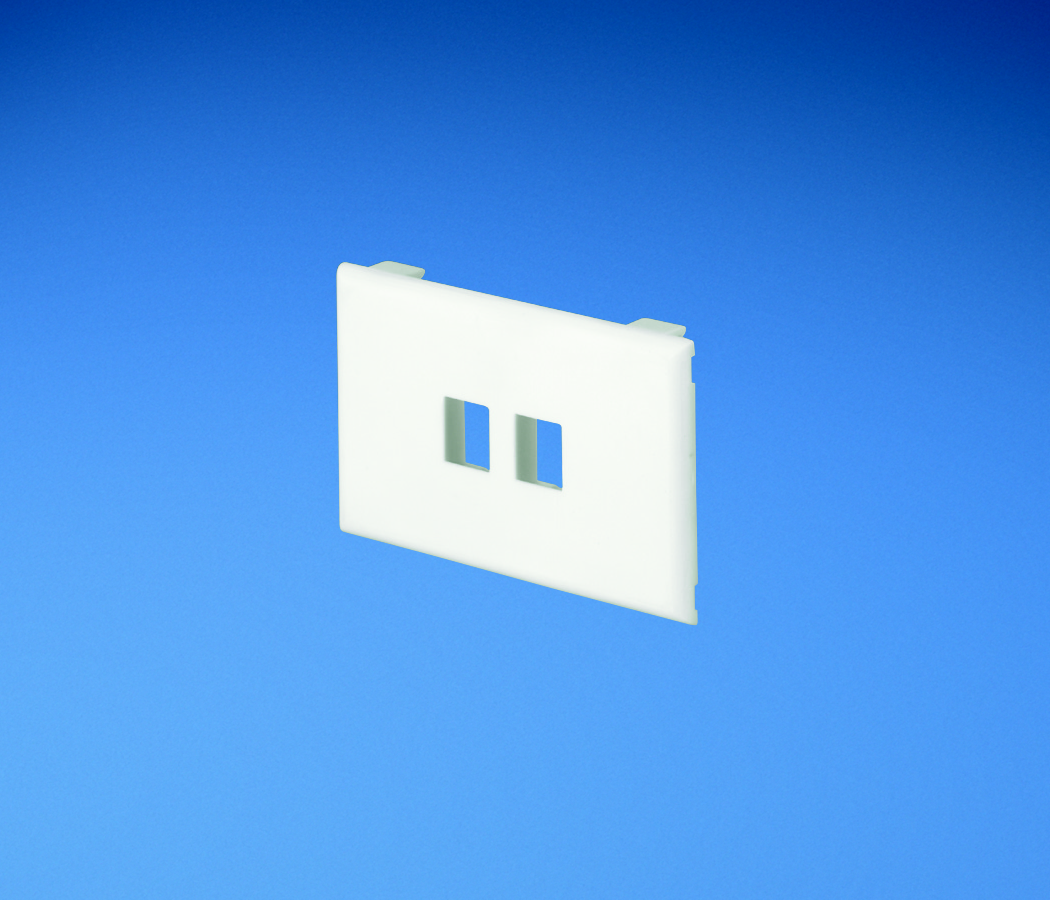 Product image for Panduit T70KW2EI Snap-on 2-position Flush Mount Faceplate, Module And Most Other Manufacturers' Keystone Modules