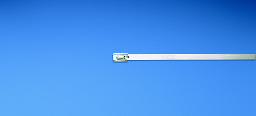 Product image for Panduit MRS1S-C4 Radial Seal Tie, 304 SS, Standard, 9.0" (229mm), 0.010" (0.25mm)