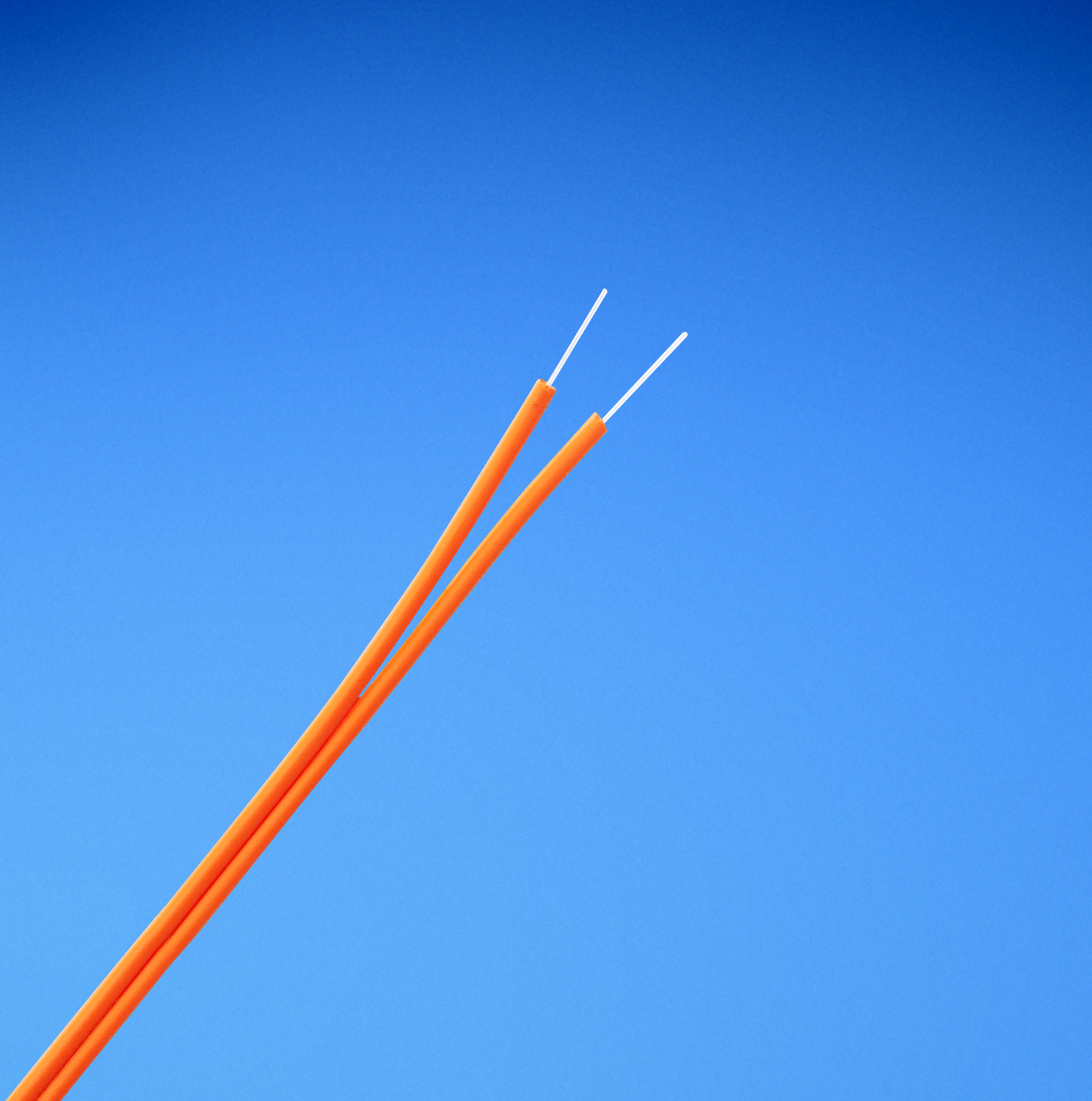 Product image for PAN FIID202 OM2 2-fiber 50/200/230