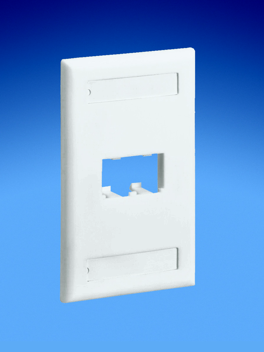 Product image for Panduit CFPL2IGY Faceplate, 2 Port, Single Gang, Classic, Intl Gray