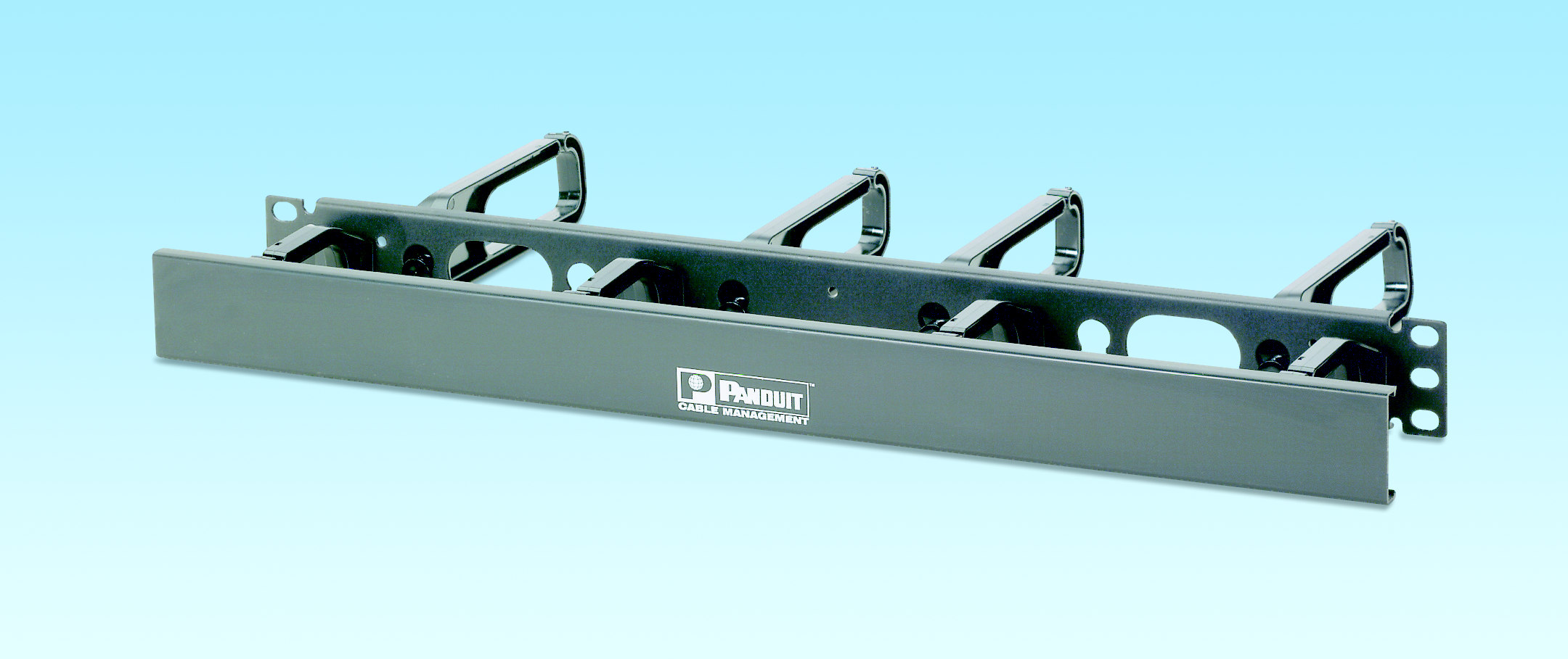 Horizontal Panel D-Rings w/Cover Front and Back 1 RU