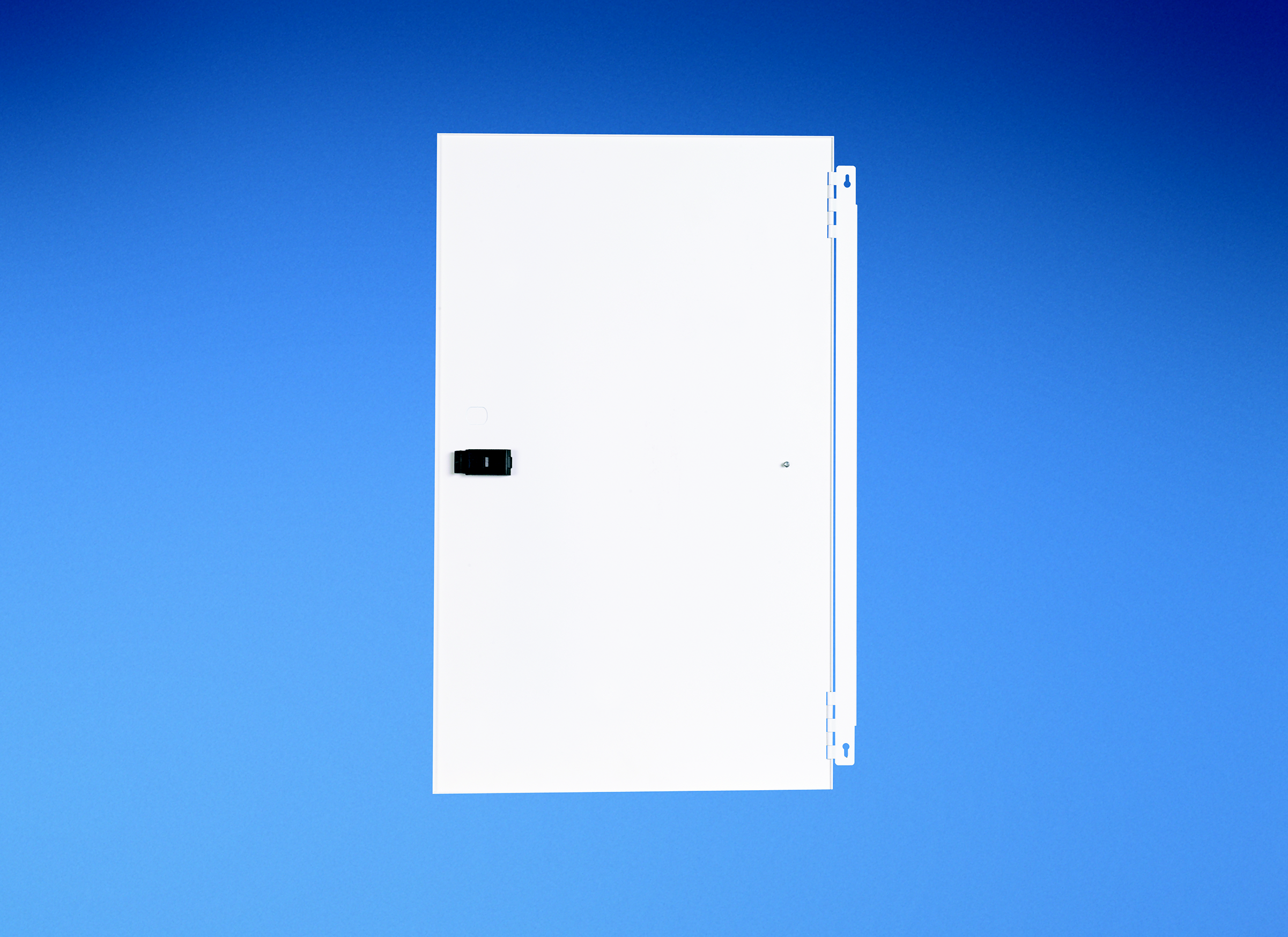 24" Frameless Hinged Door