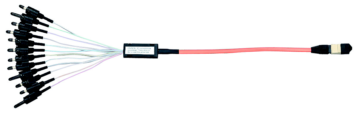 PC 12-Fiber mm 12SC-MTP* 62.5µm 10m