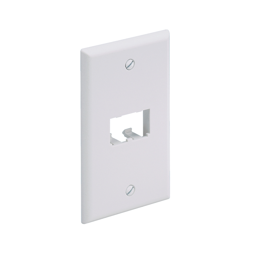 Panduit CFP2IW 1-Gang Off White Copper 2-Port Data Communication Face Plate Panduit CFP2IW 1-Gang Off White Copper 2-Port Data Communication Face Plate