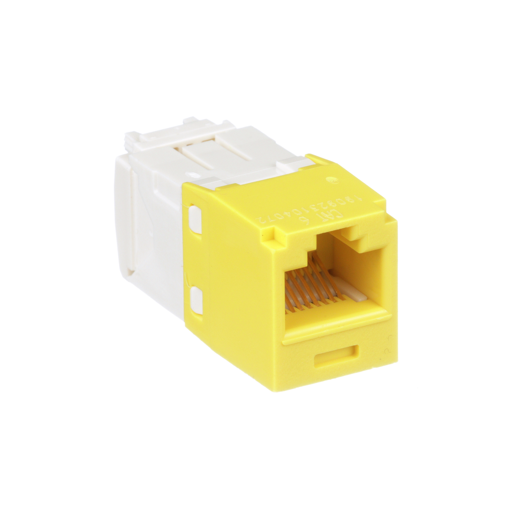 PAN CJ688TGYL-24