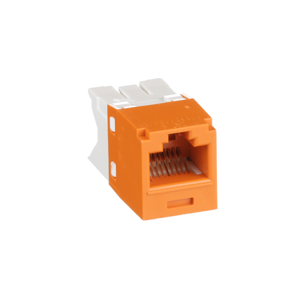 PAN CJ688TGOR-24