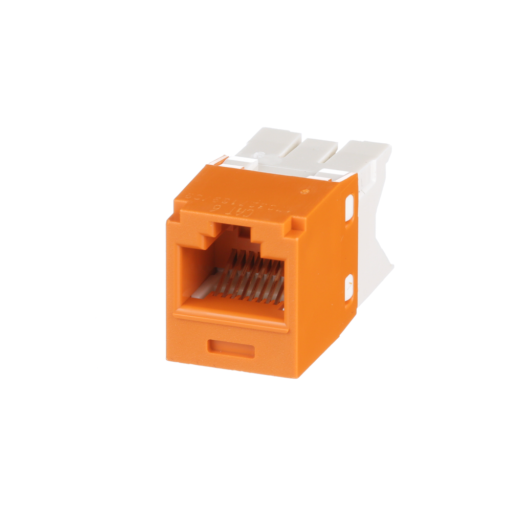PAN CJ688TGOR-24