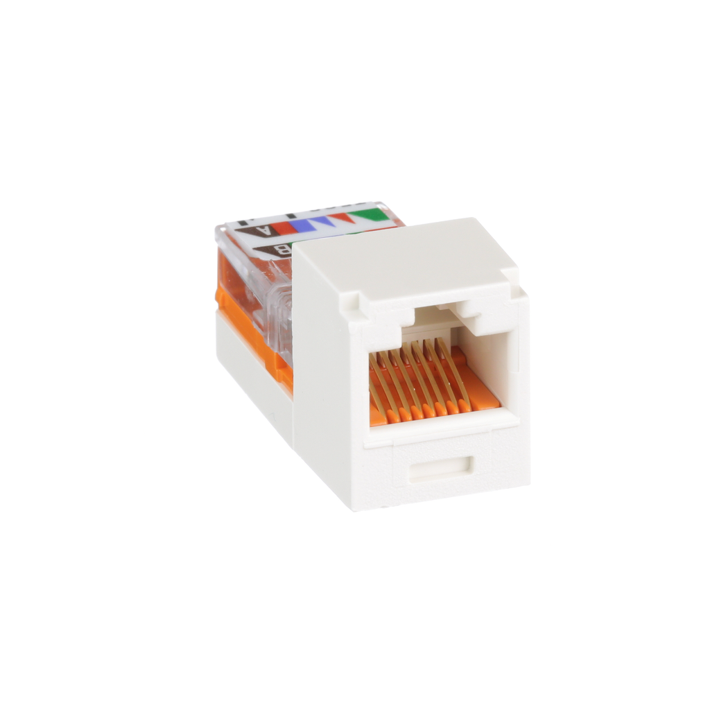 PAN CJ588IWY