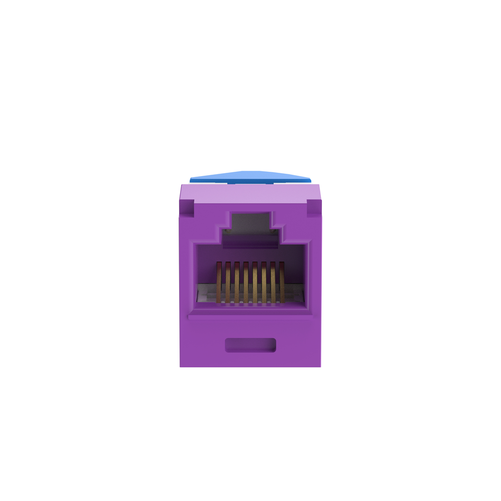 PAN CJLR6X88TGVL