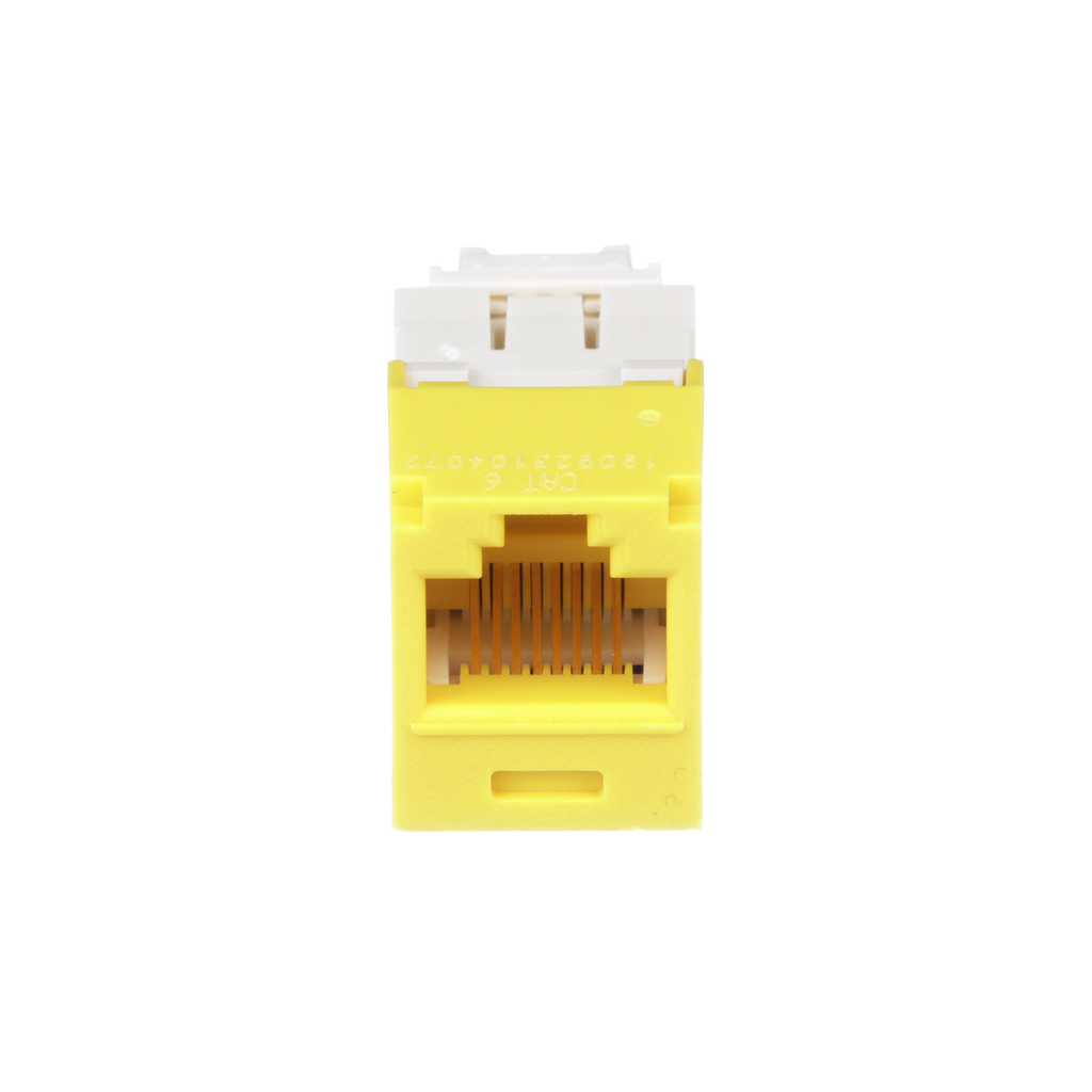 PAN CJ688TGYL-24